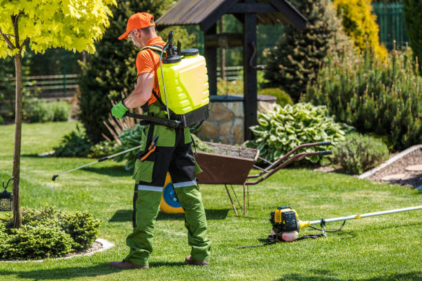 Best Bee and Wasp Removal  in La Grange Park, IL